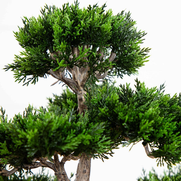 Cedar Bonsai 24" Silk Plant"