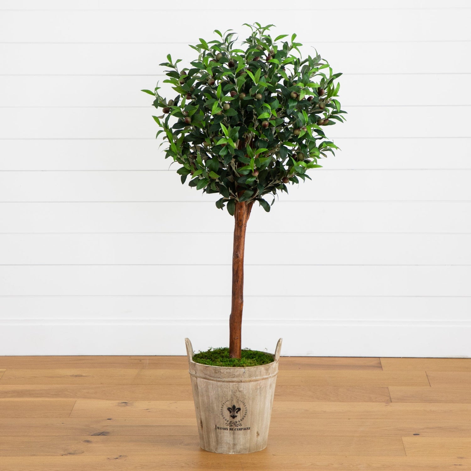 Olive Topiary Tree with Farmhouse Planter