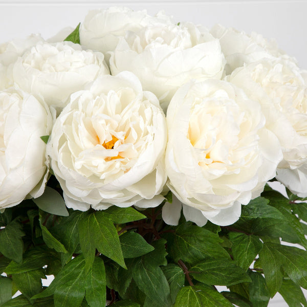 Signature Collection 20” Peony Artificial Arrangement in White  Glass Vase