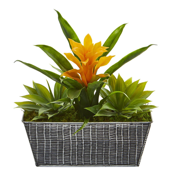 11” Bromeliad and Agave Plant in Black Tin Planter