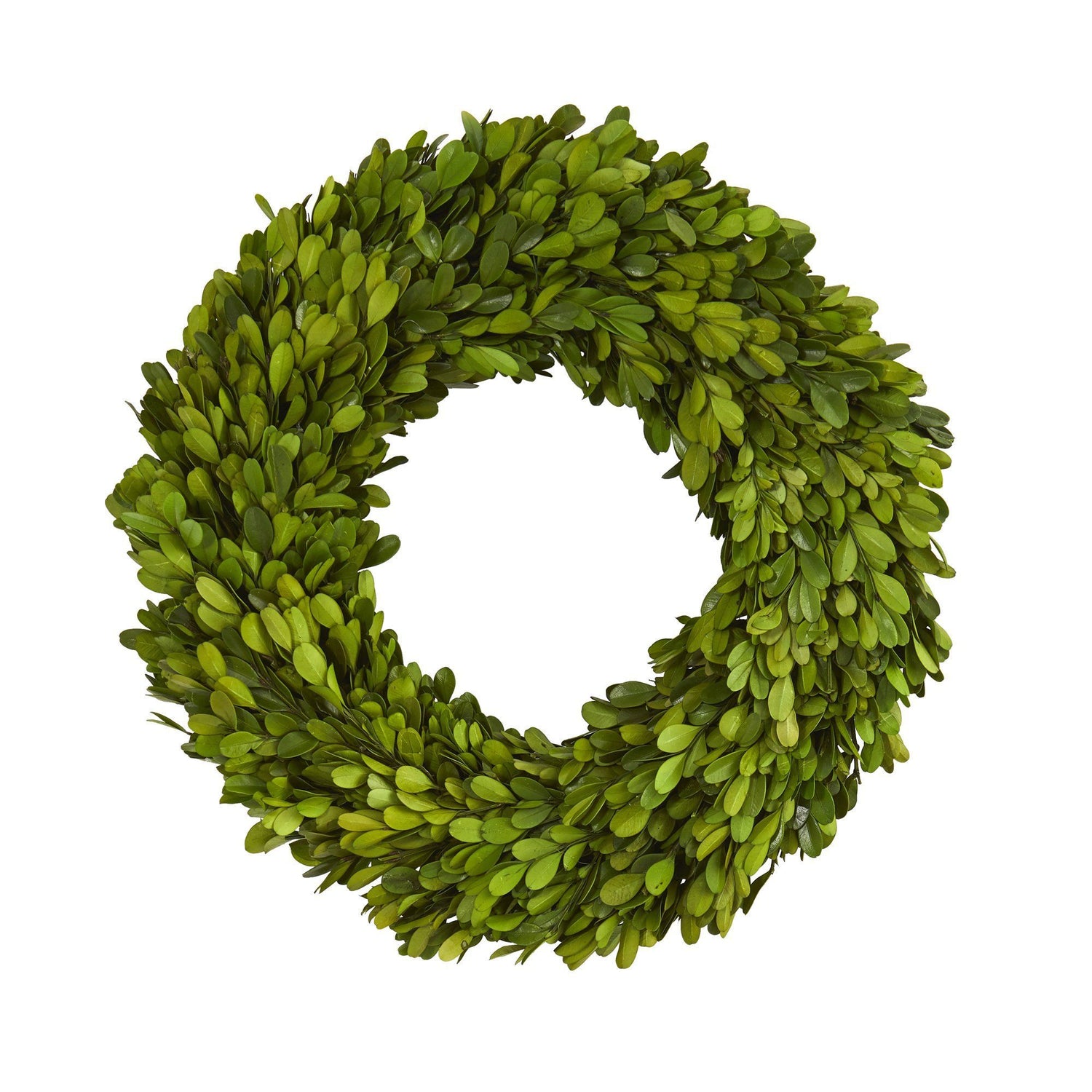 14” Preserved Boxwood Wreath