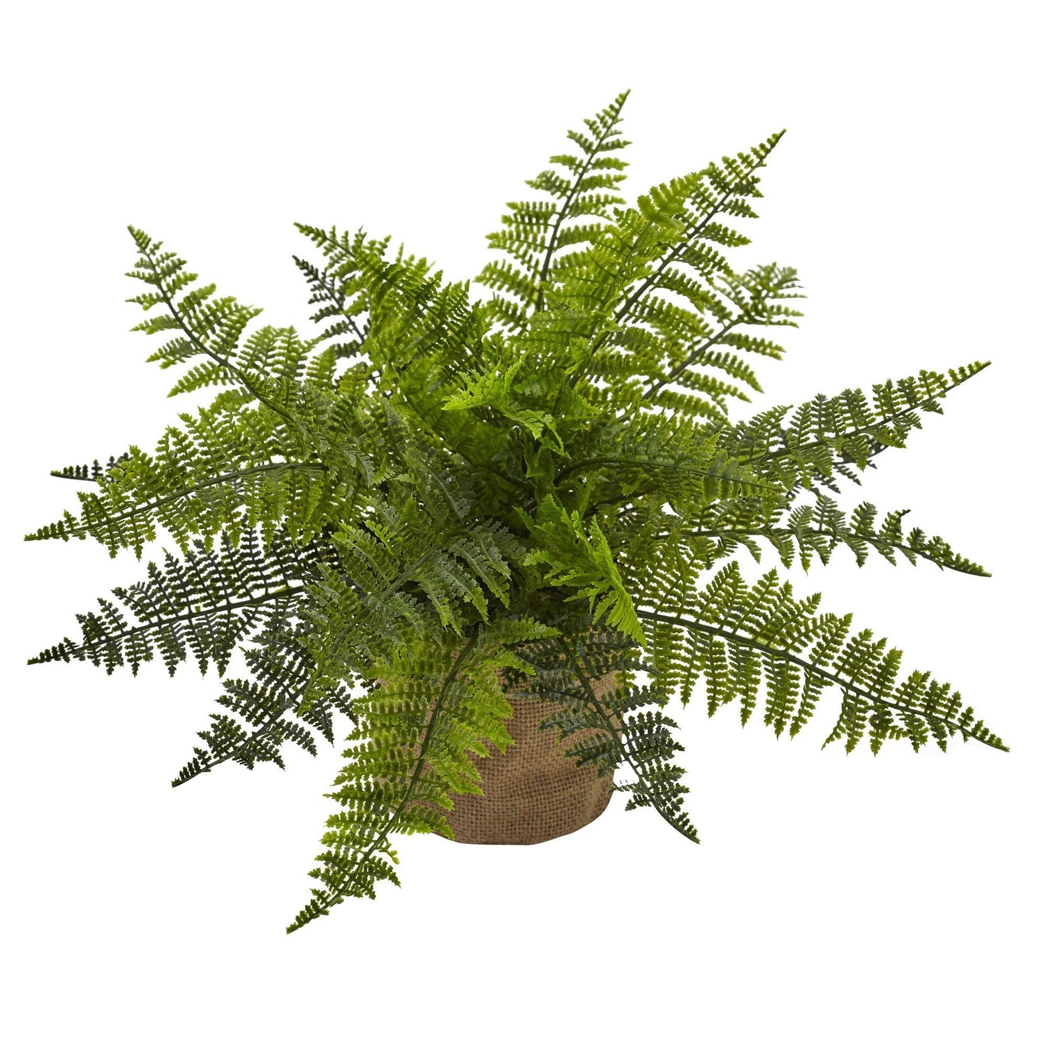 15” Ruffle Fern Bush w/Burlap Base (Set of 2)