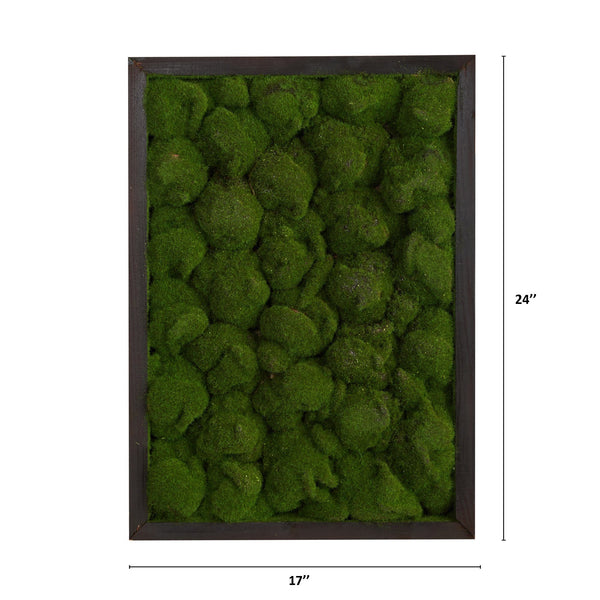 17” X 24” Artificial Moss Hanging Frame