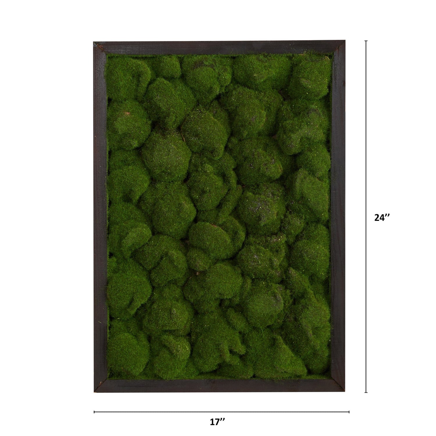 17” X 24” Artificial Moss Hanging Frame