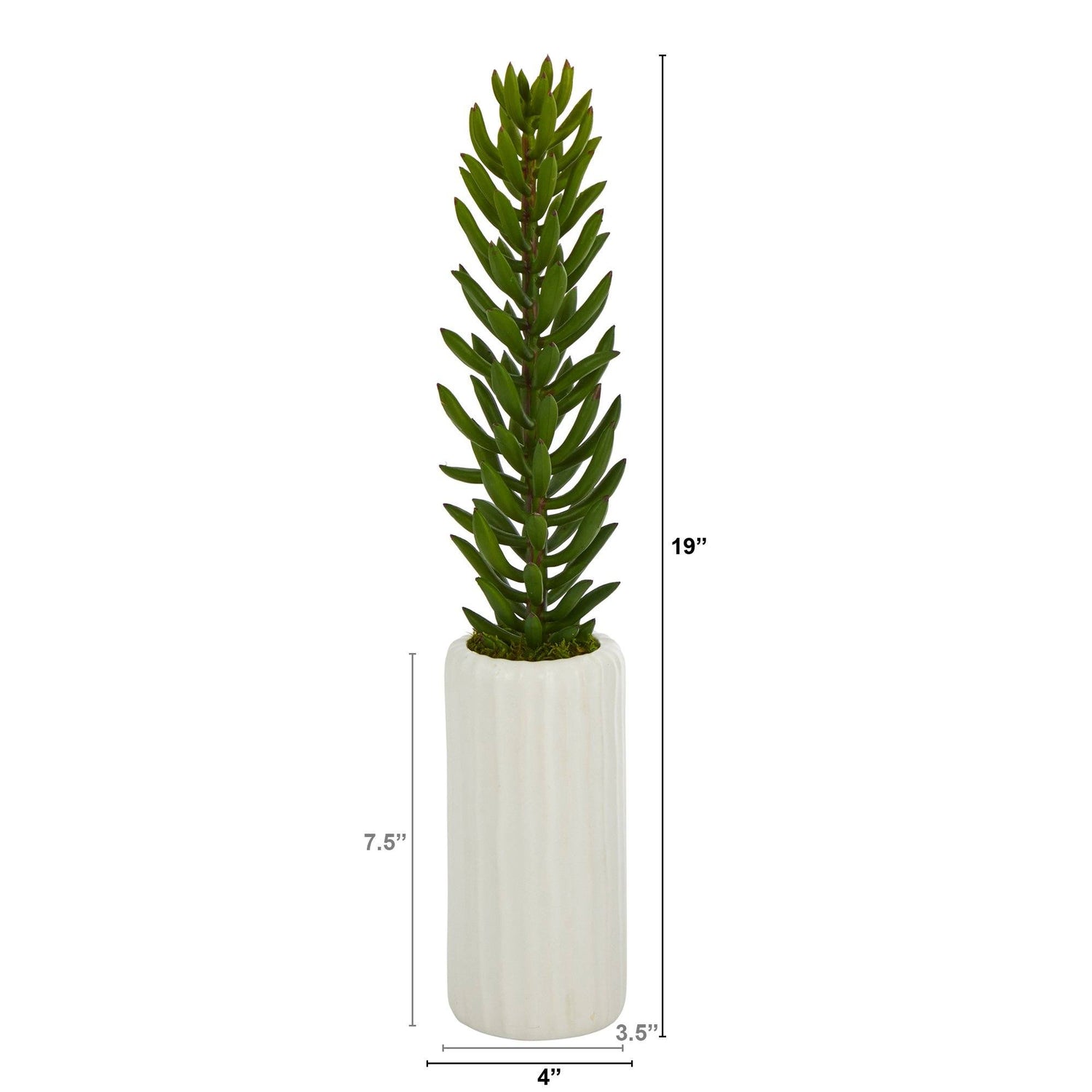 19” Succulent Artificial Plant in White Planter