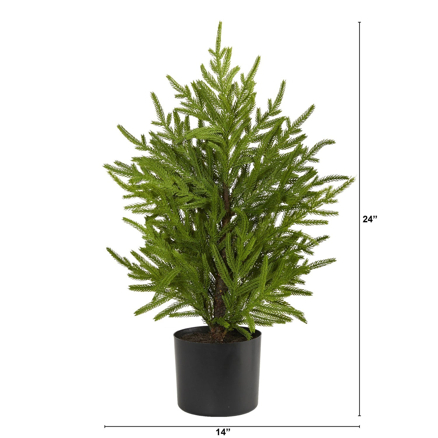 2’ Norfolk Island Pine “Natural Look” Artificial Christmas Tree in Decorative Planter