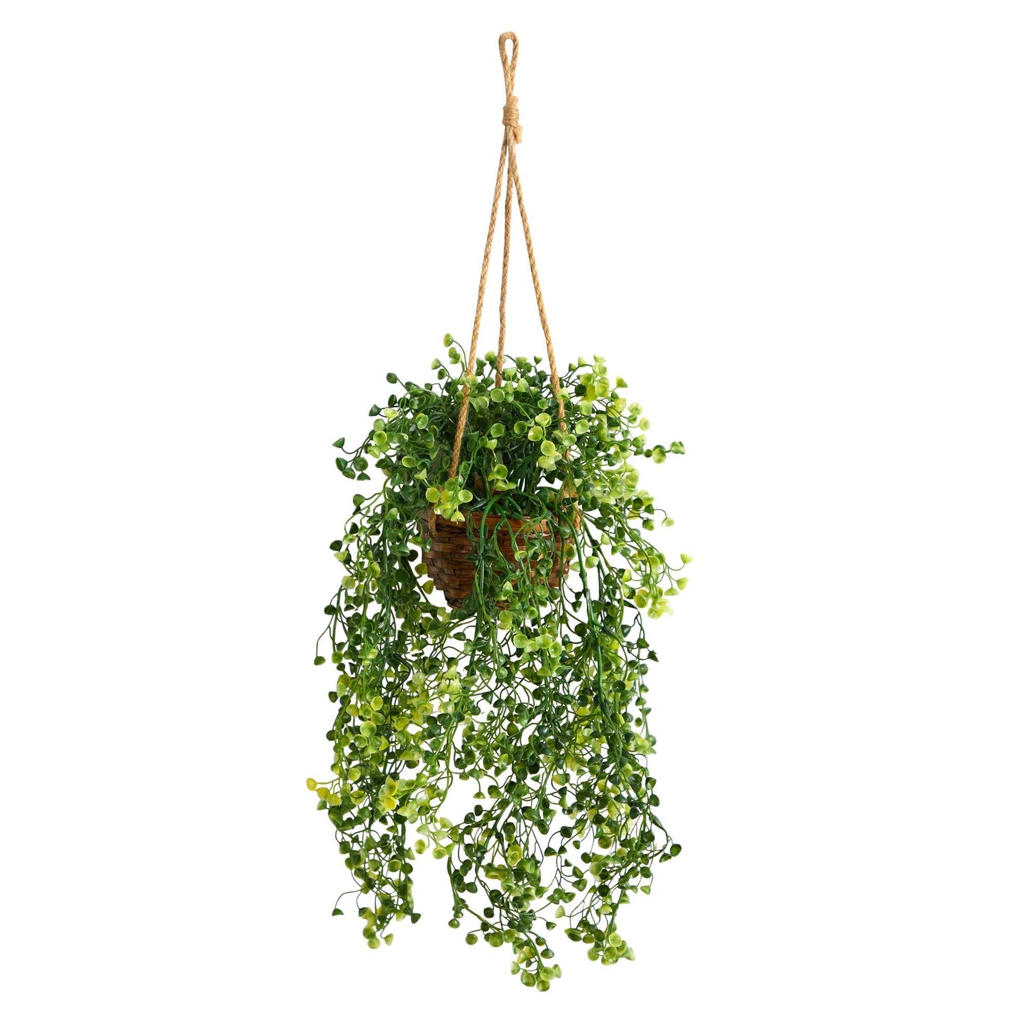 20” Baby Tear Artificial Plant in Hanging Basket