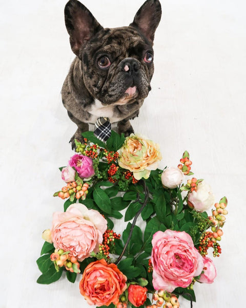 20'' Mixed Peony & Berry Wreath