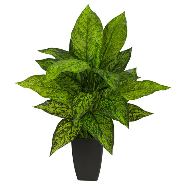 21” Dieffenbachia Artificial Plant in Black Planter