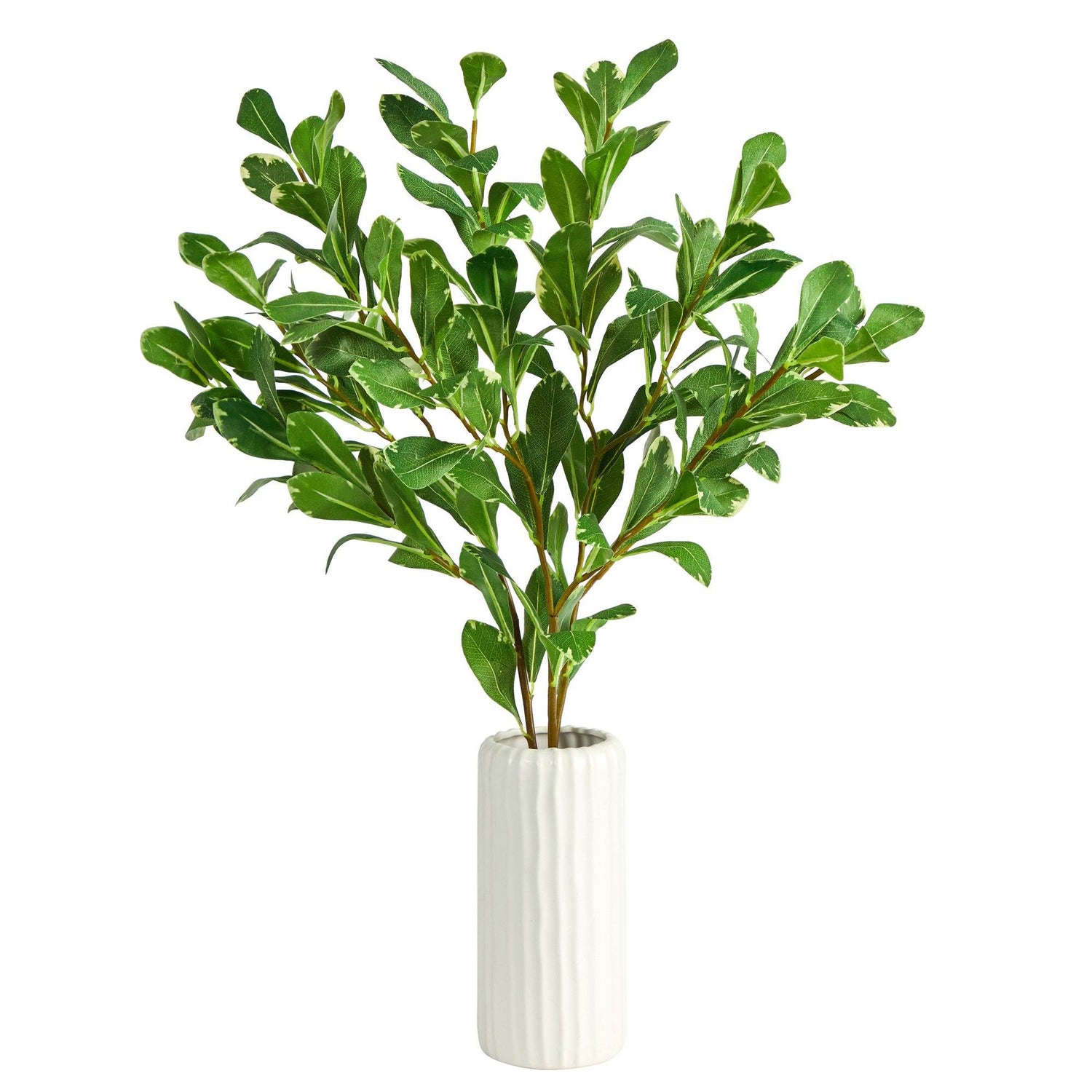 21” Salal Artificial Plant in White Planter