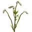 22” Baby Breath Artificial Flower (Set of 24)