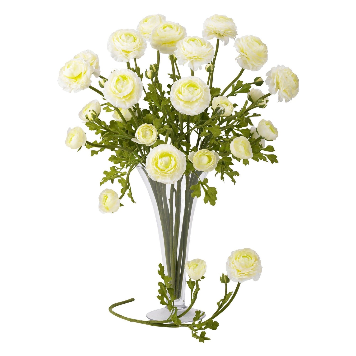 23" Ranunculus Stem (Set of 12)"