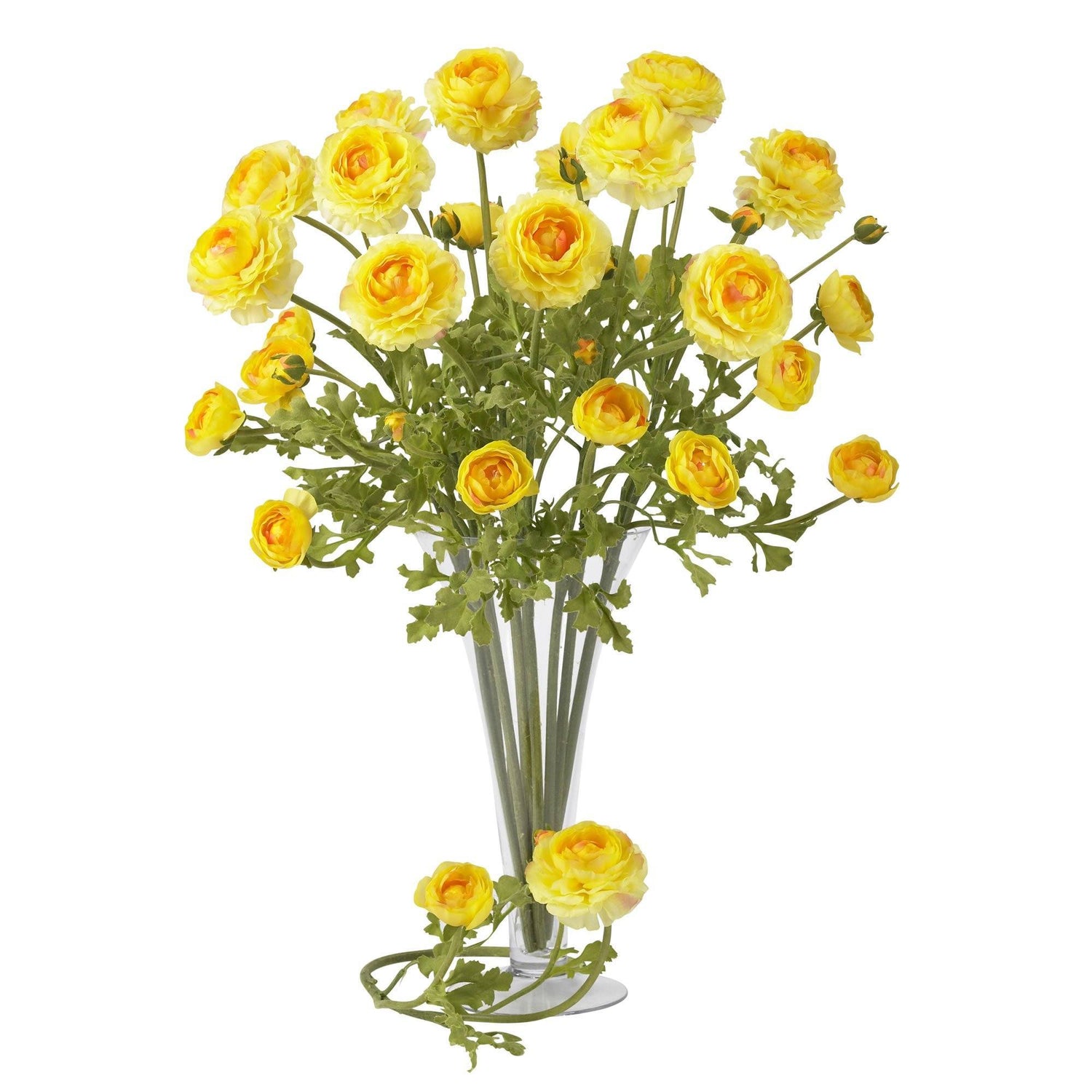 23" Ranunculus Stem (Set of 12)"