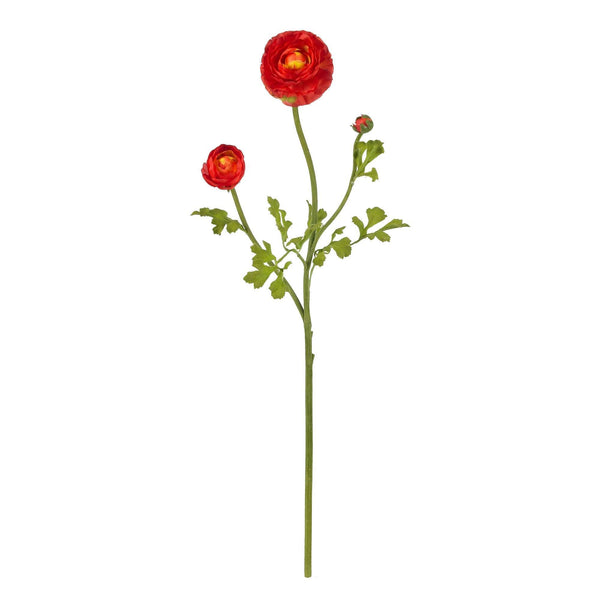 23" Ranunculus Stem (Set of 12)"