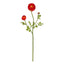 23" Ranunculus Stem (Set of 12)"