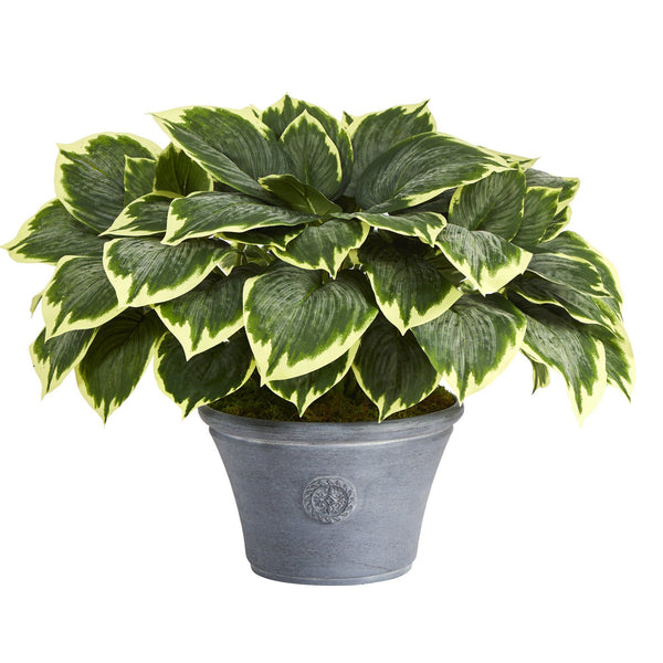 23” Variegated Hosta Artificial Plant in Gray Planter