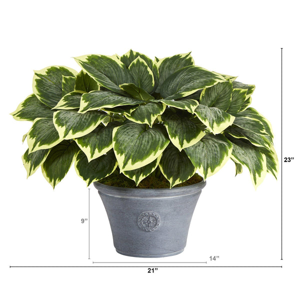 23” Variegated Hosta Artificial Plant in Gray Planter