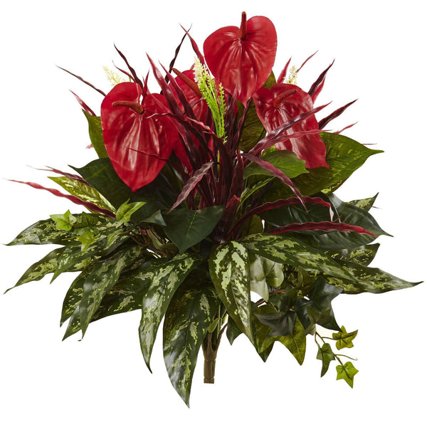 24” Mixed Anthurium Bush (Set of 2)