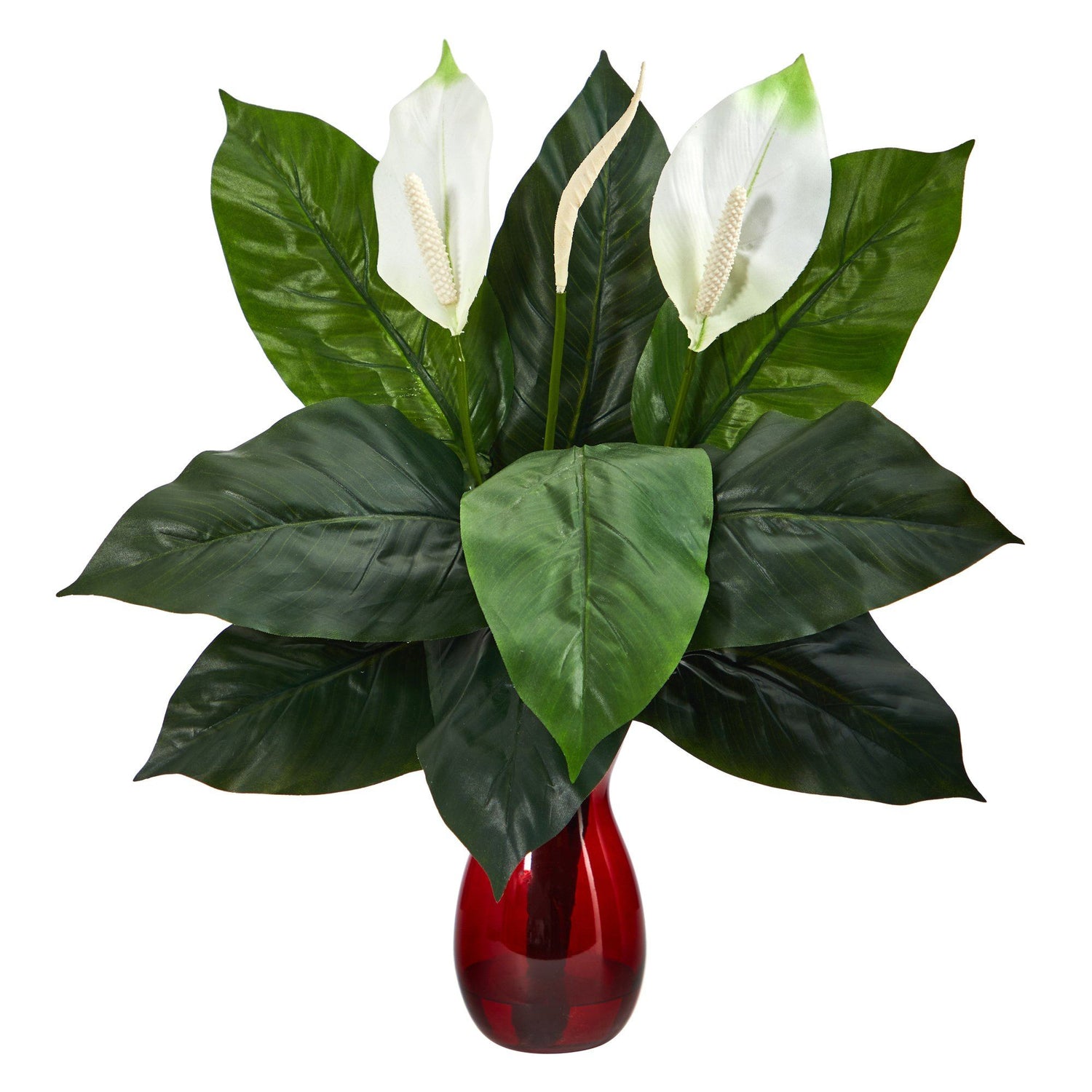 24” Spathifyllum Artificial Plant in Ruby Planter