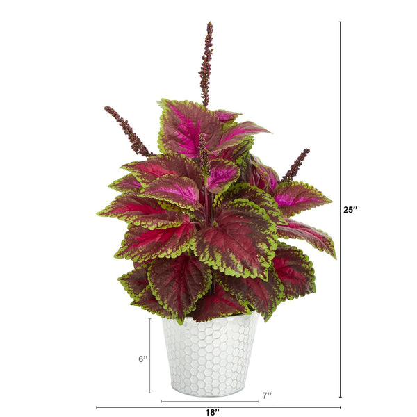 25” Coleus Artificial Plant in Embossed White Planter