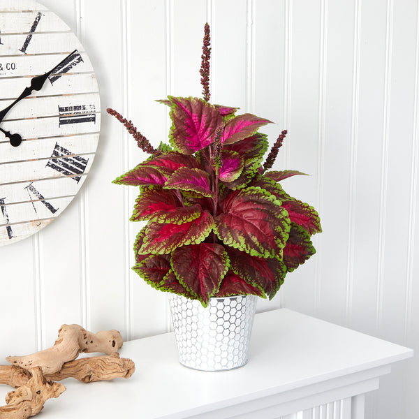 25” Coleus Artificial Plant in Embossed White Planter