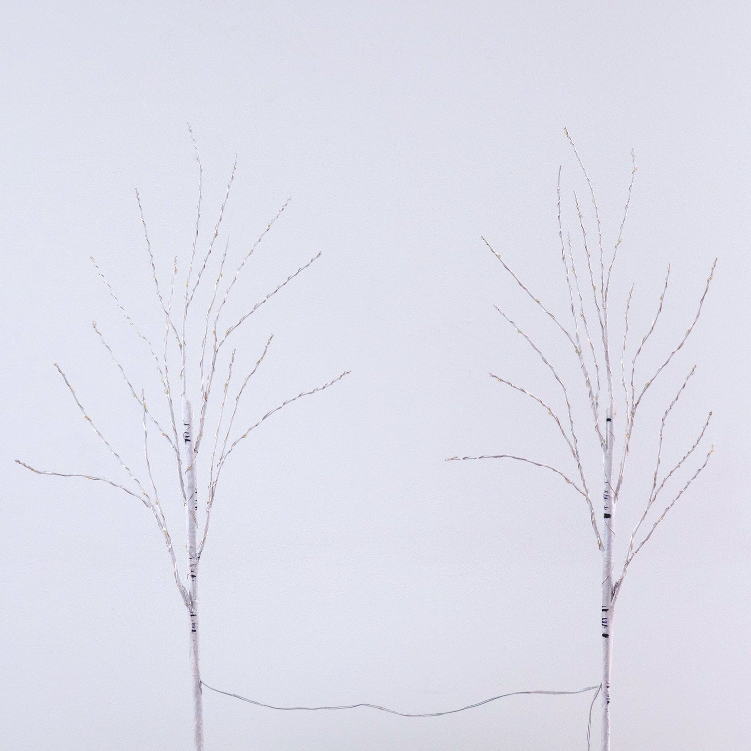 2.5' Pre-Lit Artificial White Birch Branches with Warm White 100 Micro LED Lights - Set of 2