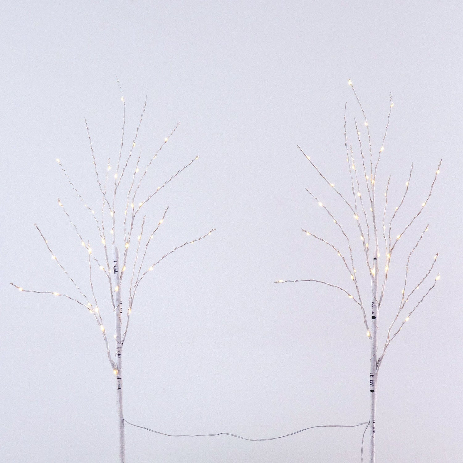 2.5' Pre-Lit Artificial White Birch Branches with Warm White 100 Micro LED Lights - Set of 2