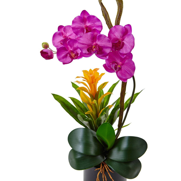 26” Orchid and Bromeliad in Glossy Black Cylinder