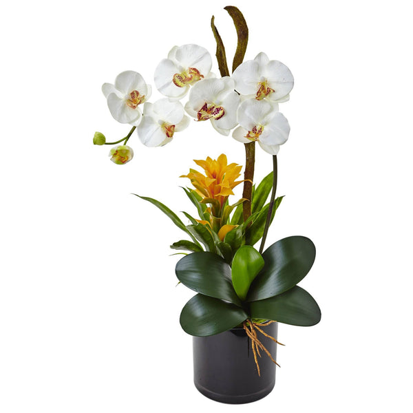 26” Orchid and Bromeliad in Glossy Black Cylinder