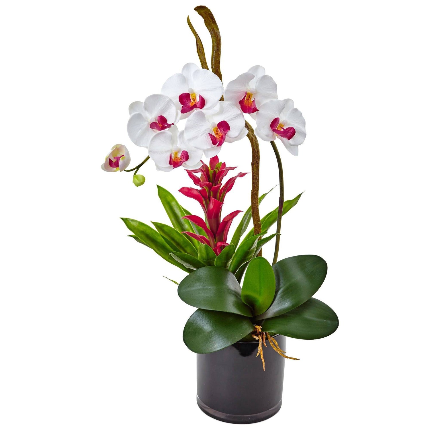 26” Orchid and Bromeliad in Glossy Black Cylinder