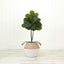 3' Artificial Fiddle Leaf Fig Tree with Handmade Cotton & Jute Woven Basket DIY Kit