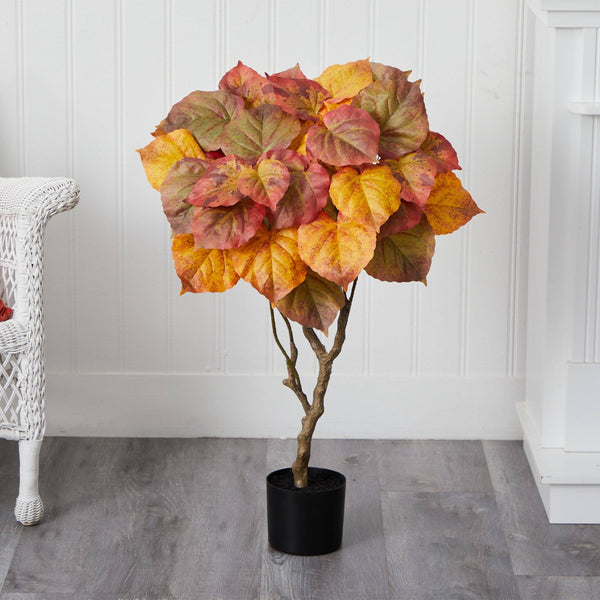 3’ Autumn Umbrella Ficus Tree