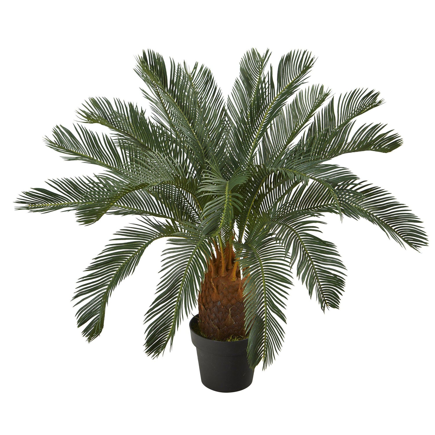 3’ Cycas Artificial Tree