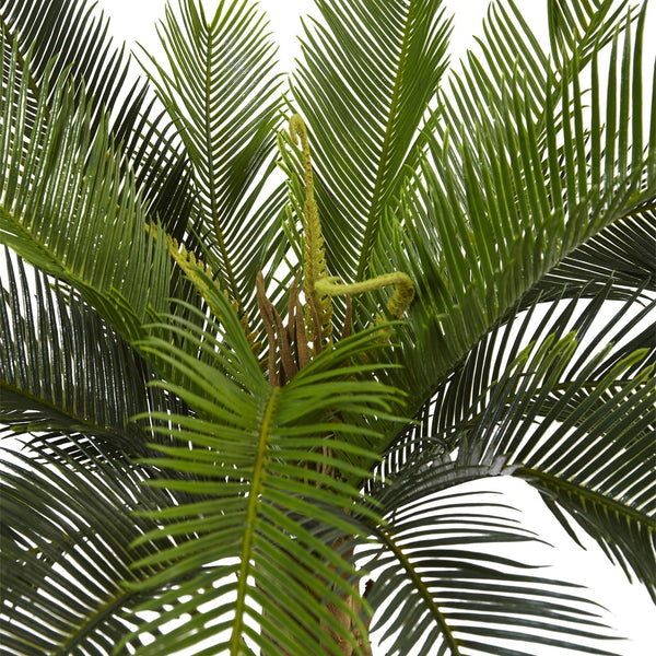 3’ Cycas Tree in Wood Planter