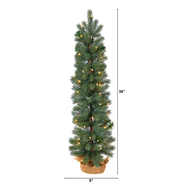 3’ Green Pine Artificial Christmas Tree with 50 Warm White Lights Set in a Burlap Base