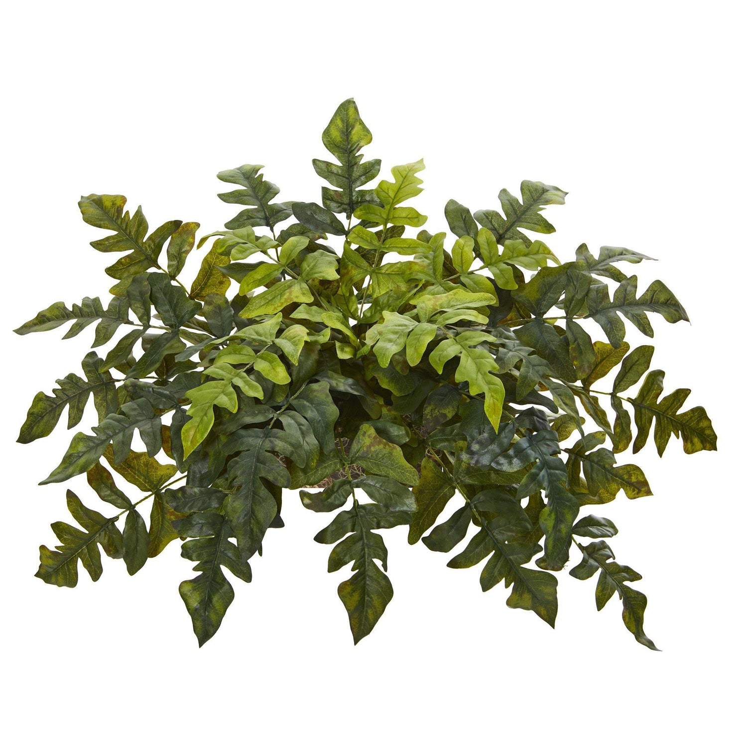 32” Holly Fern Artificial Ledge Plant