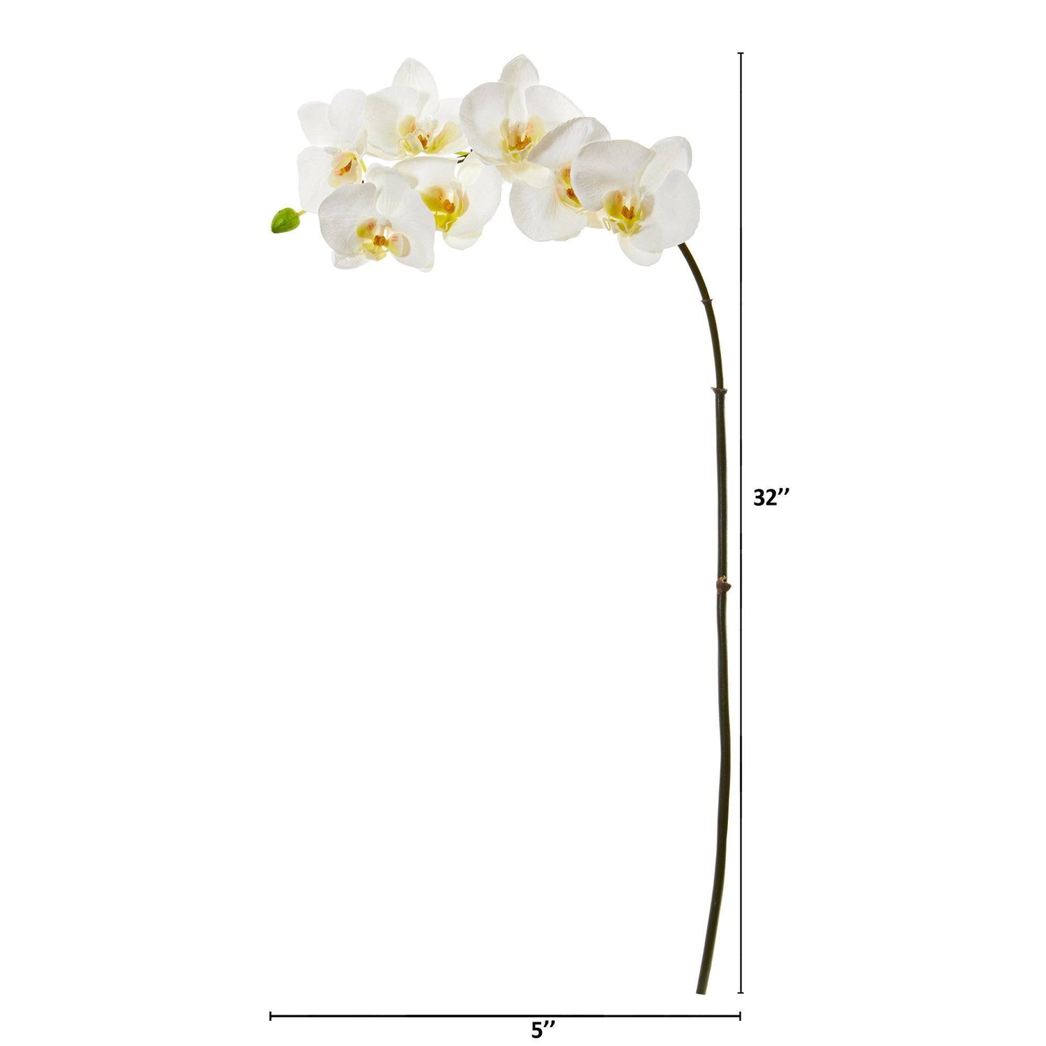 32” Phalaenopsis Orchid Artificial Flower (Set of 6)