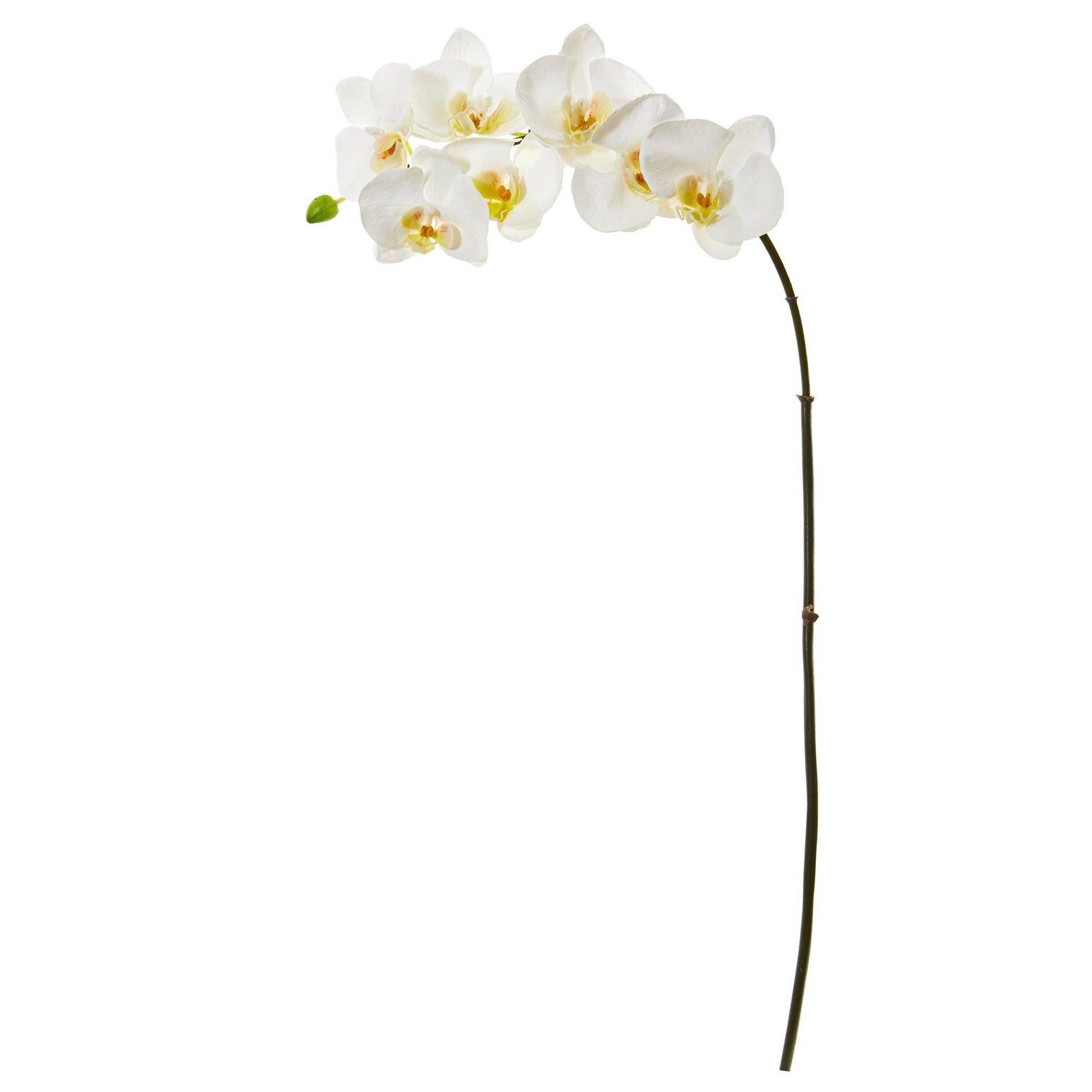 32” Phalaenopsis Orchid Artificial Flower (Set of 6)