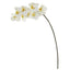 34” Phalaenopsis Orchid Artificial Flower (Set of 6)