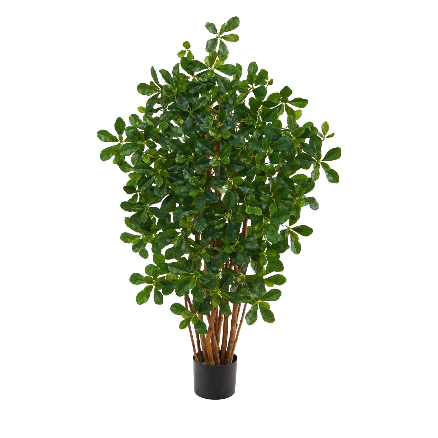 3.5’ Black Olive Artificial Tree