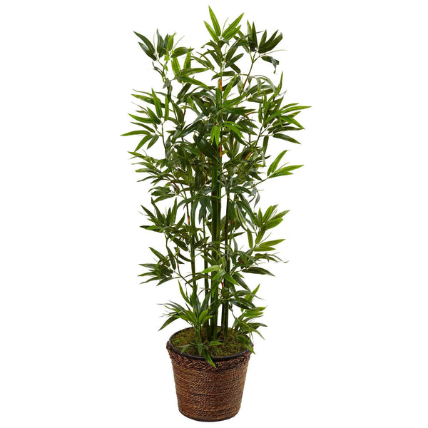 4’ Bamboo Tree in Coiled Rope Planter