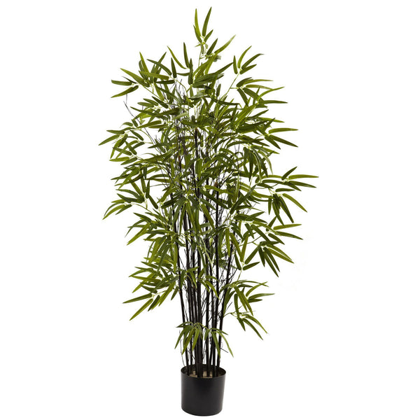 4’ Black Bamboo Tree