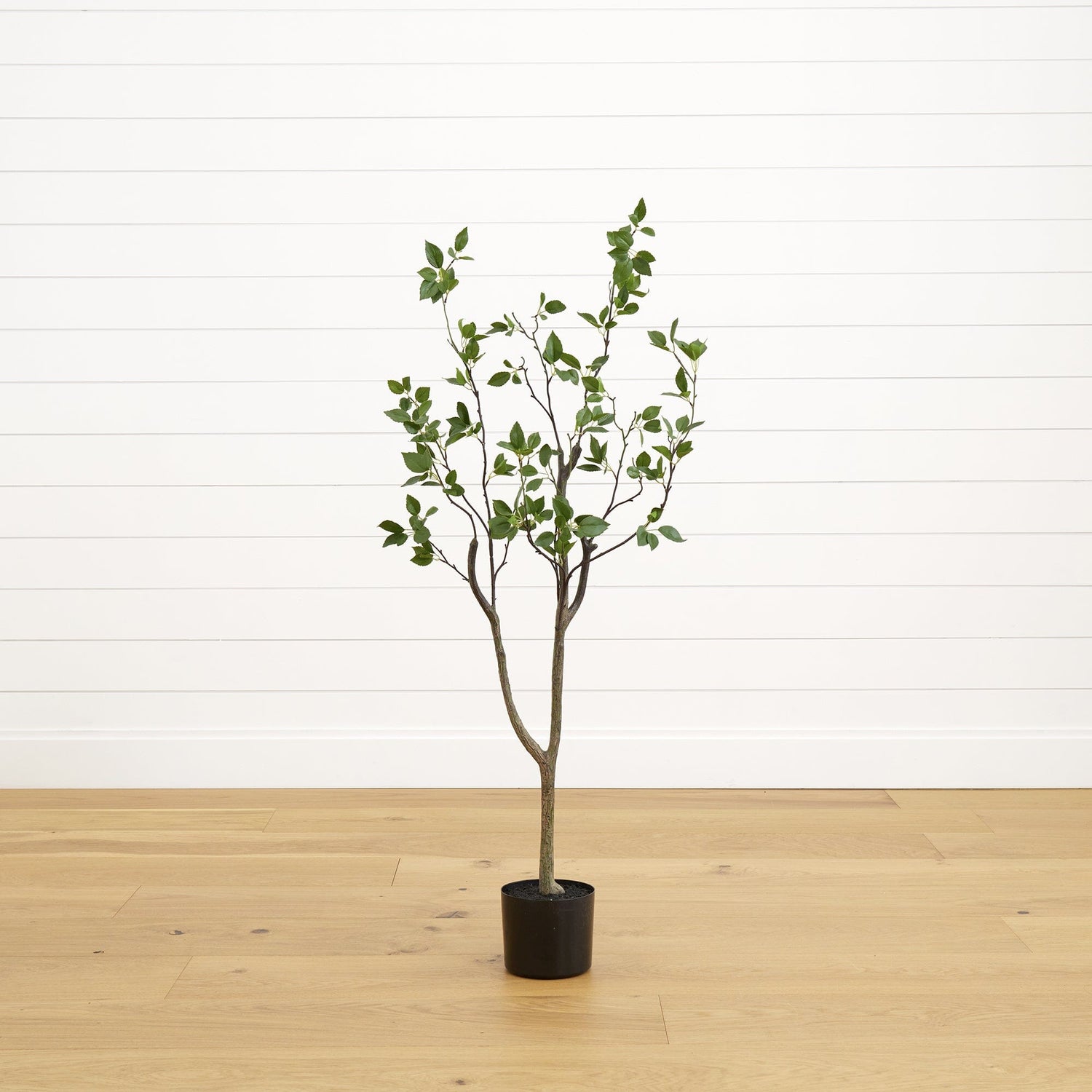 4' Minimalist Citrus Artificial Tree