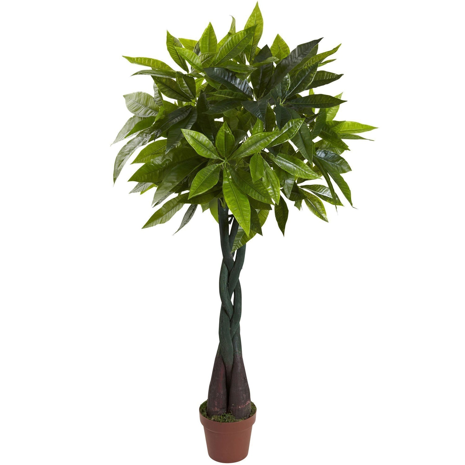 4’ Money Plant (Real Touch)