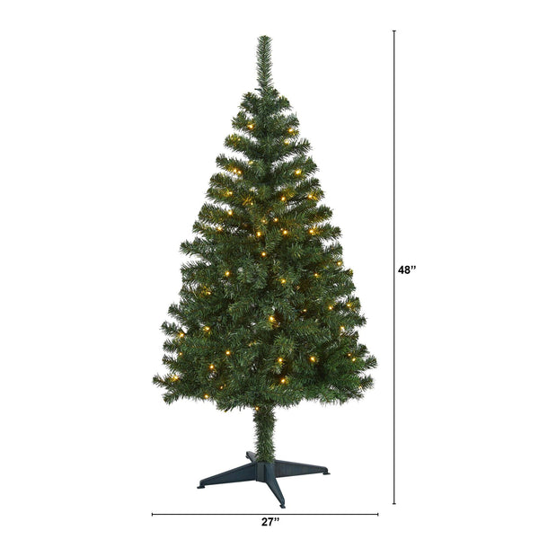 4' Northern Tip Pine Artificial Christmas Tree with 100 Clear LED Lights