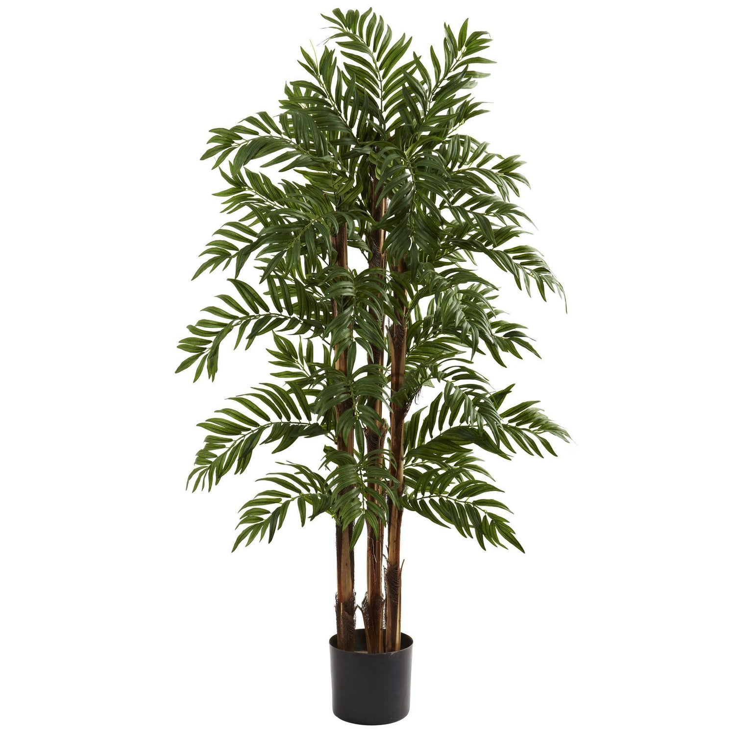 4’ Parlour Palm Tree