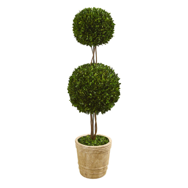 4’ Preserved Boxwood Double Ball Topiary Tree in Planter