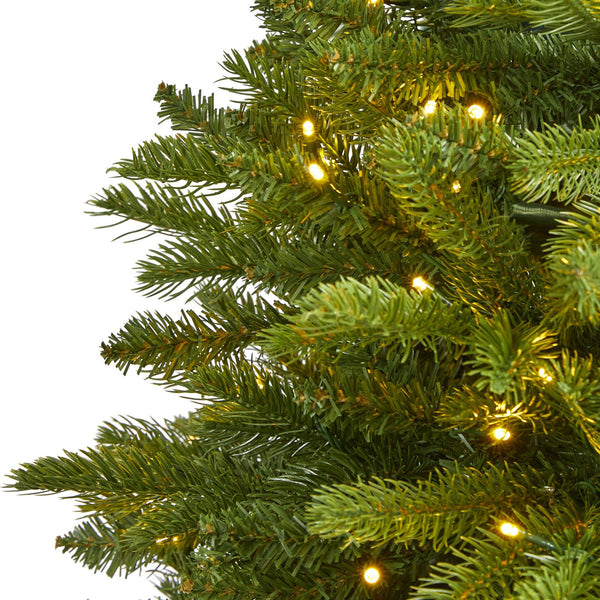 4’ Sierra Spruce “Natural Look” Artificial Christmas Tree with 150 Clear LED Lights