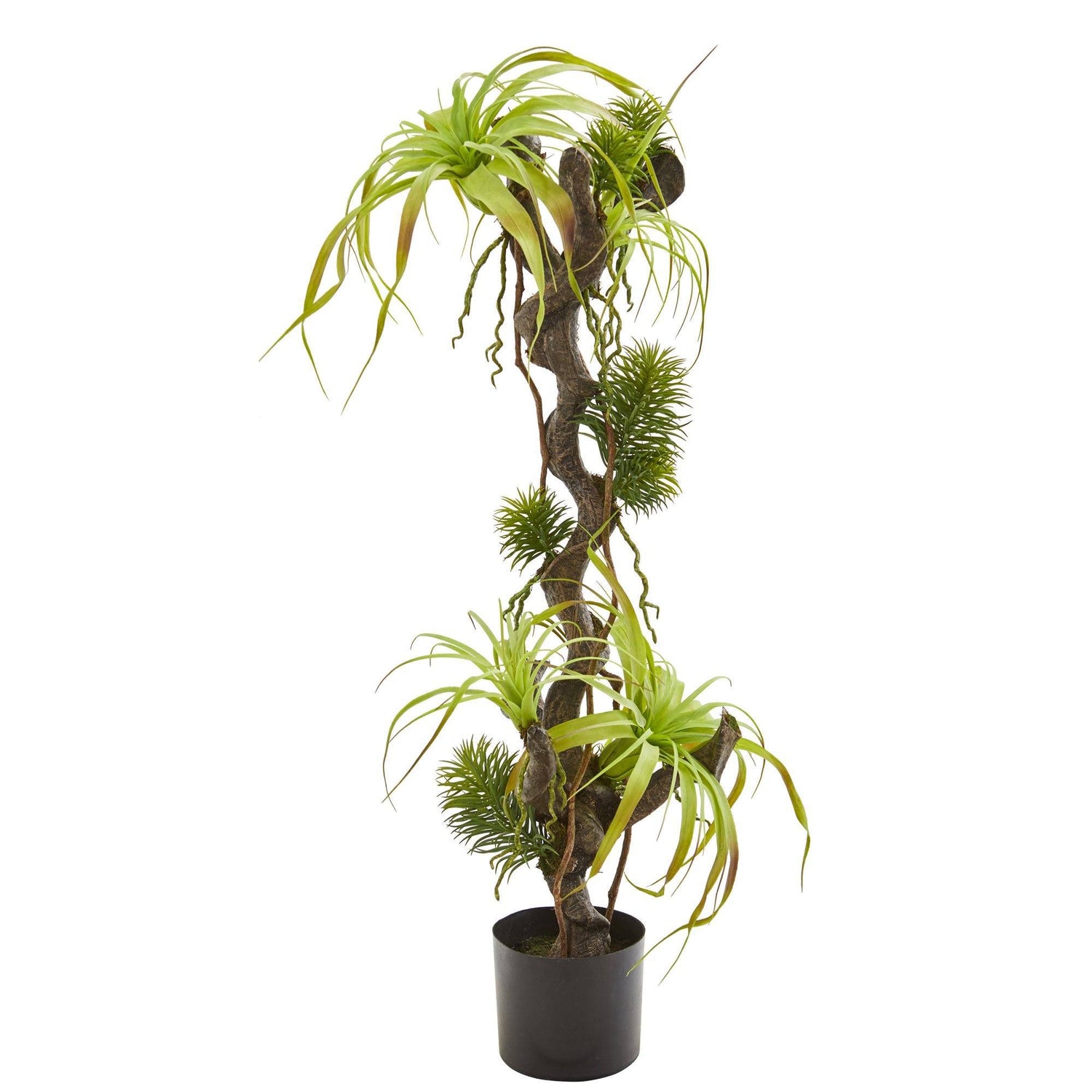 41” Air Plant and Succulent Jungle Artificial Plant