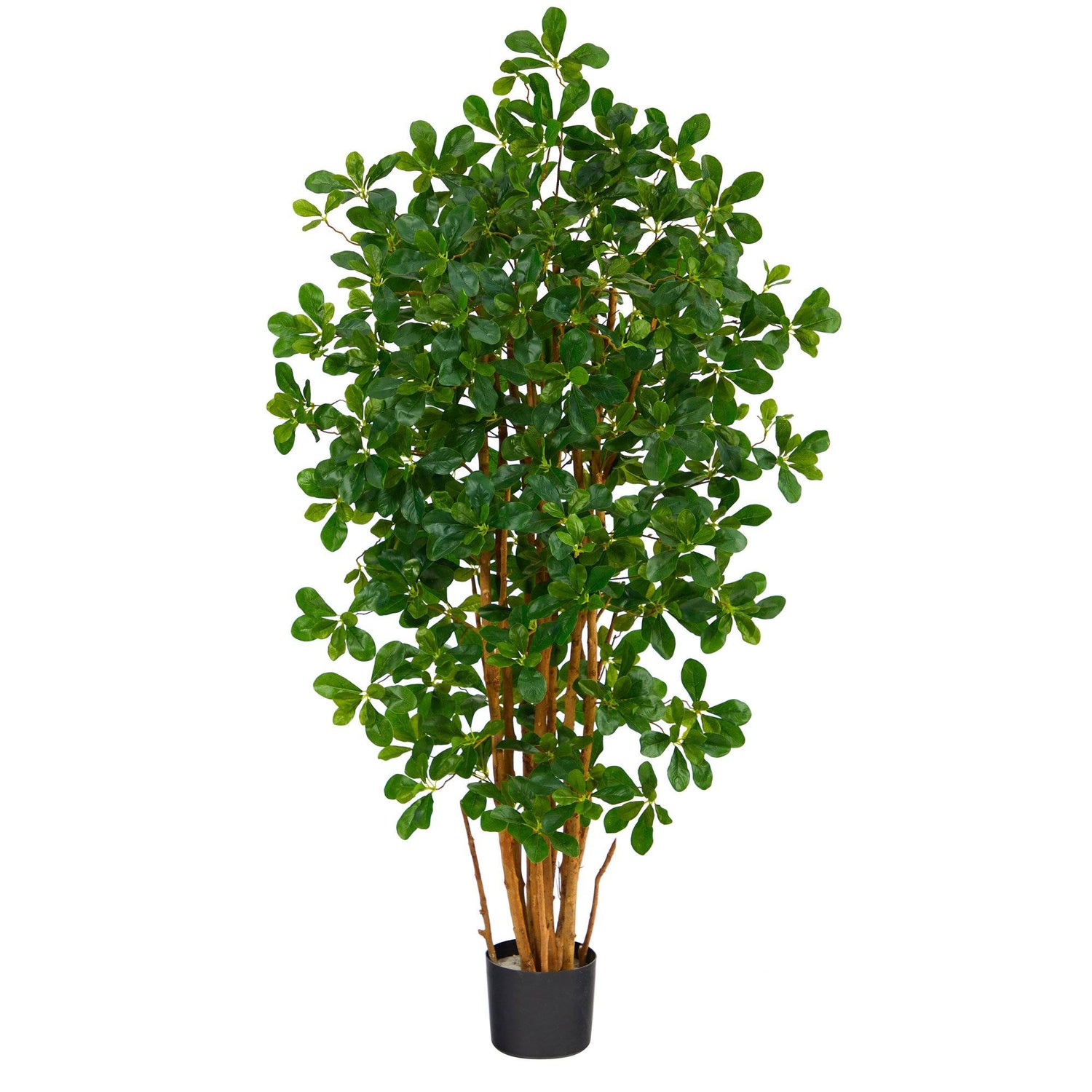 4.5’ Black Olive Artificial Tree